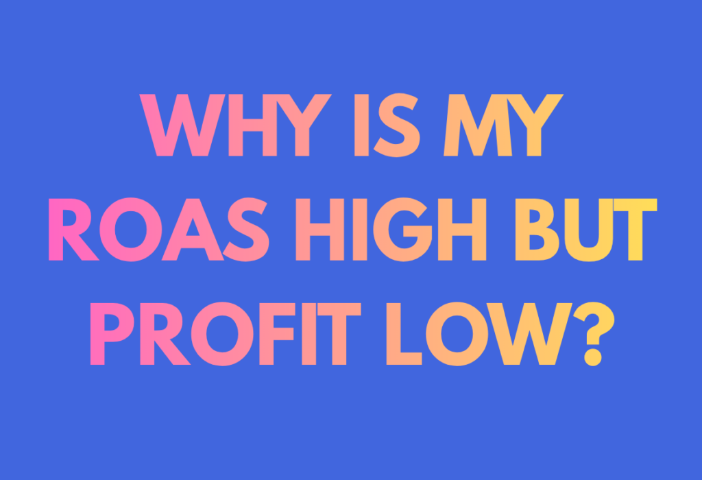 Why Is My ROAS High But Profit Low Google Meta Ads | Global PPC |uk based paid marketing agency